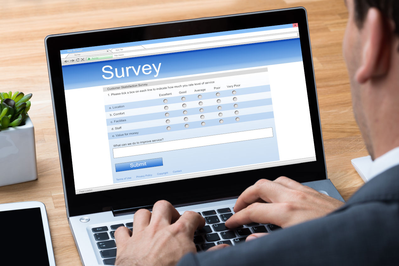 Example of an online questionnaire